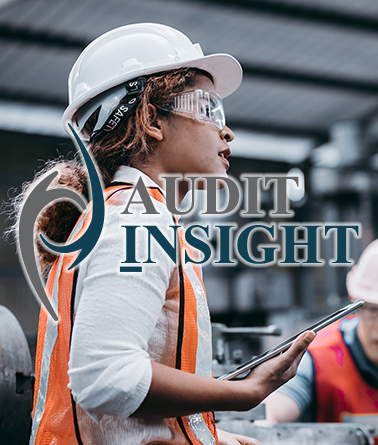 Audit Insight Layered Process Audits